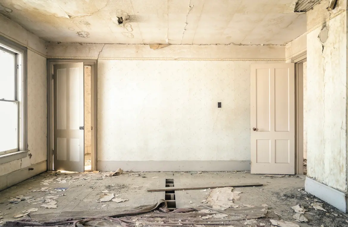 Waste disposal crew managing a cleanout project in Sachse